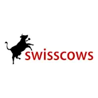 Swisscows: Your private and anonymous search engine
